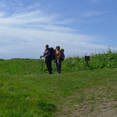 GirlsWildCat 034 : GirlsWildCat